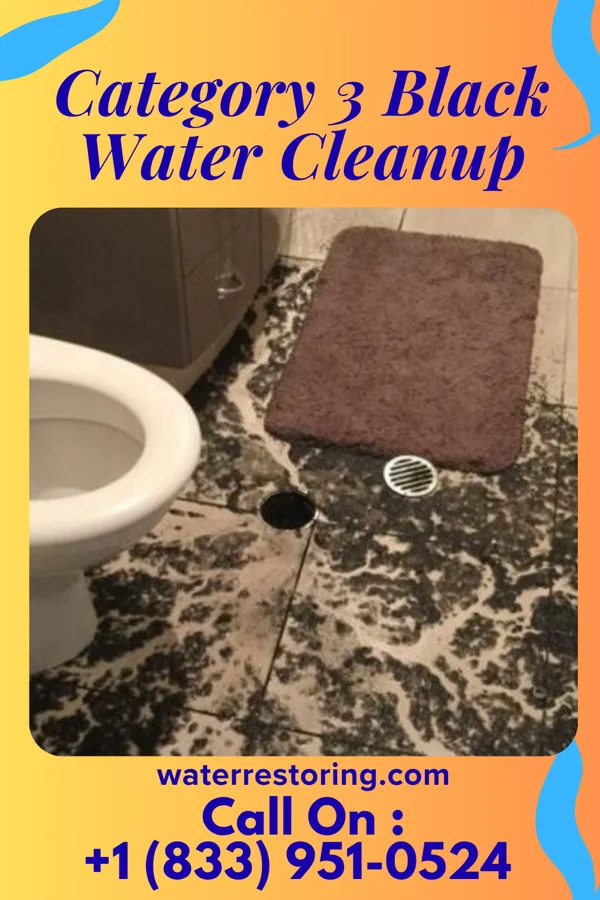 Category 3 Black Water Cleanup in Suwanee, GA